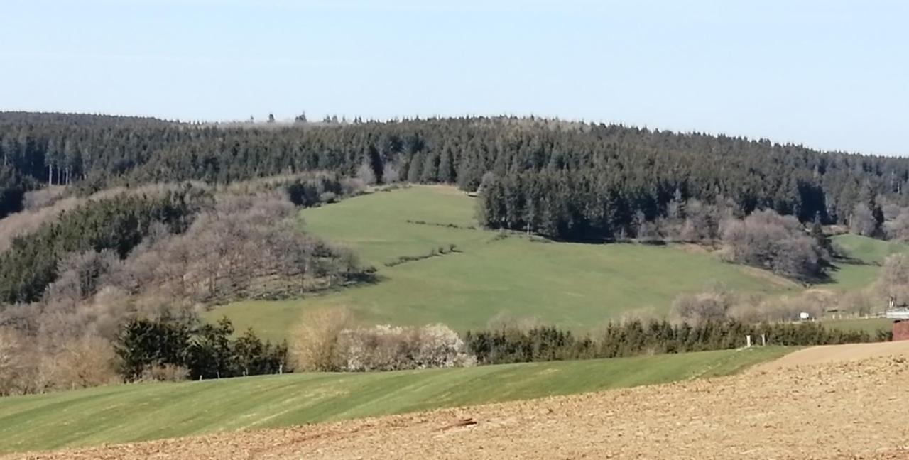 Rosenhof Vulkaneifel *