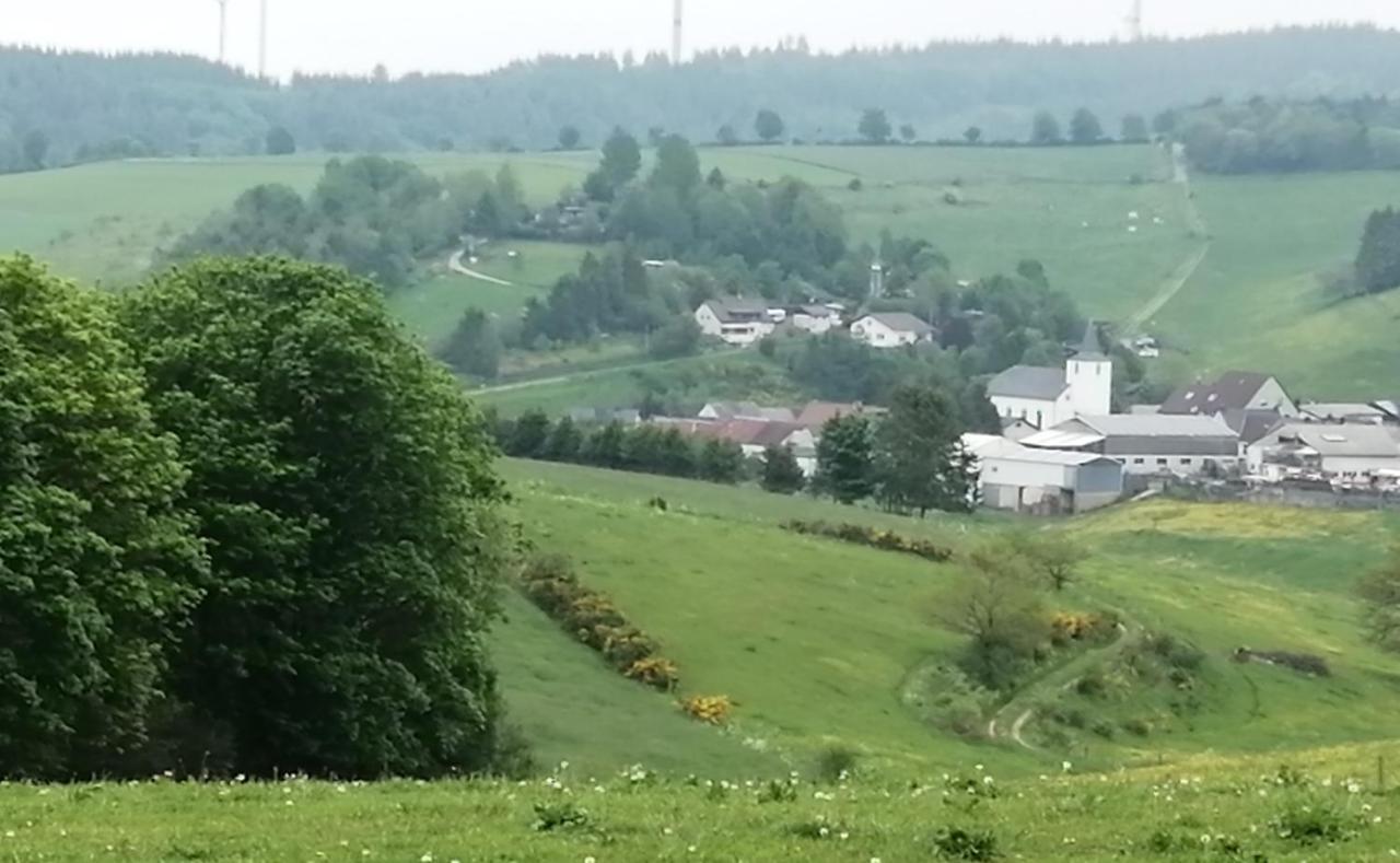 Rosenhof Vulkaneifel Ferienhaus Ormont